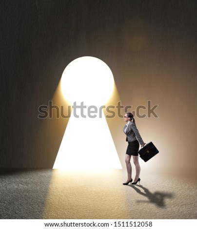 A Businesswoman With Keys Stock foto © Elnur