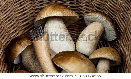 ストックフォト: Basket Of Different Edible Mushrooms And Knife