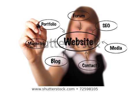 [[stock_photo]]: Businesswoman With Website Diagram