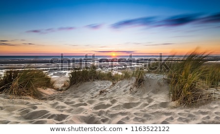 Stok fotoğraf: Sleeping Bear Dunes At Lake Michigan