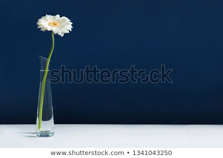 [[stock_photo]]: Gerbera Fresh Flowers In Glass Vase With Gift