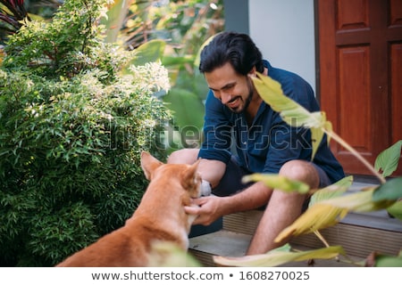 Stockfoto: Porch Of Green Tropical House