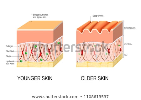 Foto stock: Younger Skin And Older Skin