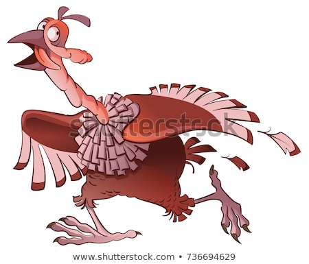 ストックフォト: Cartoon Turkey Bird Runs Away In Fear Symbol Of Thanksgiving Day
