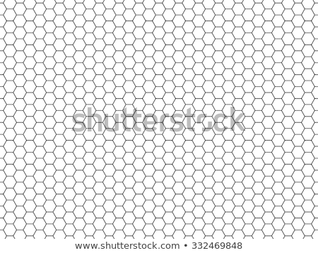 Stock foto: Honey Comb Cells Vector Seamless Pattern