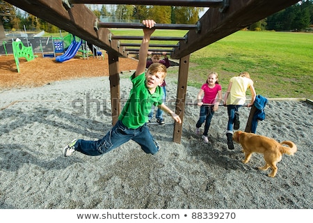 Stock photo: Monkey Playing At Playground