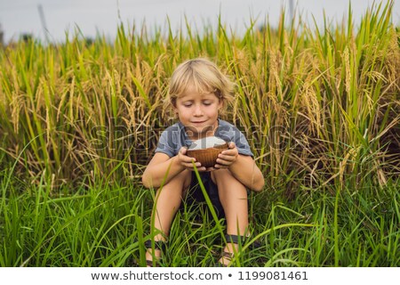 Foto stock: Boy Is Holding A Cup Of Boiled Rice In A Wooden Cup On The Background Of A Ripe Rice Field Food For