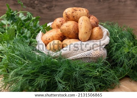 Stock photo: Young Uncooked Fresh Potato And Dill