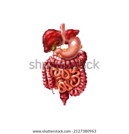 Zdjęcia stock: Heart Human Pixel Art Organ Of Man 8 Bit Vector Illustration