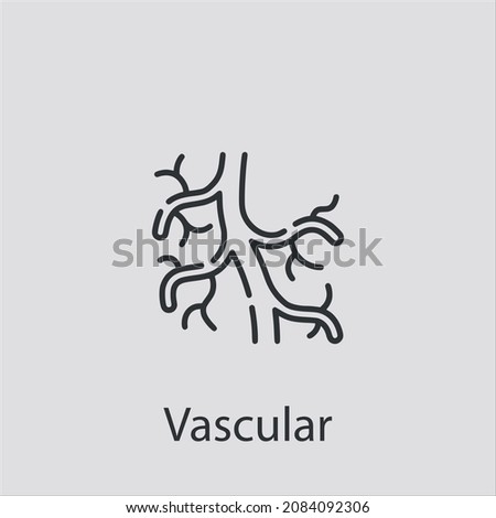 Foto stock: Blood System And Circulation