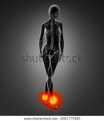 3d Render Human Foot X Ray Imagine de stoc © Maya2008