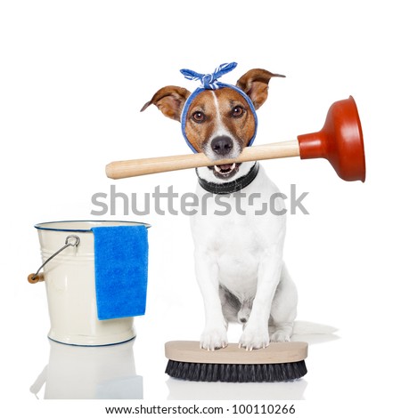Stock photo: Plumber Dog With Plunger