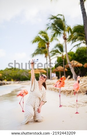 Stok fotoğraf: Flamingo Taking A Selfie