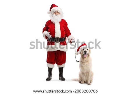 Zdjęcia stock: Santa Claus Dog