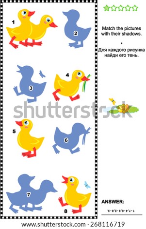 Match To Shadow Visual Puzzle - Ducklings Imagine de stoc © ratselmeister