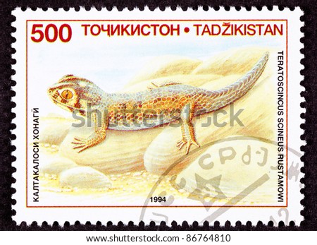 Stok fotoğraf: Postage Stamp Common Wonder Gecko Lizard Teratoscincus Scincus