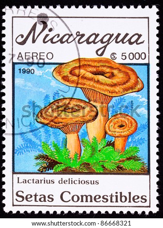 Stok fotoğraf: Nicaragua Stamp Mushroom Saffron Milk Cap Lactarius Deliciosus
