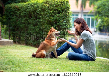 Сток-фото: Dog And Owner Teaching