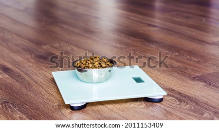 Stockfoto: Dog On Scale With Overweight