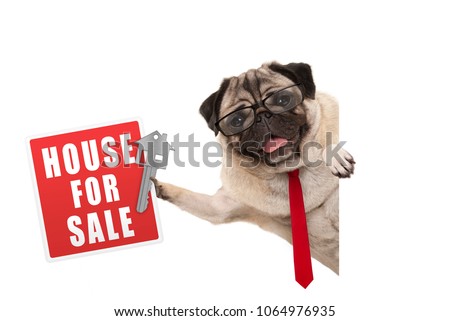 商業照片: Banner Dog Home And Key