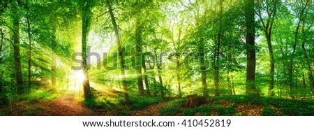 Forest Beauty In Lush Green - Springtime Stok fotoğraf © Smileus