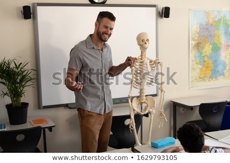 Foto d'archivio: Side View Of Male Teacher Explaining Skeleton Model In Classroom Of Elementary School