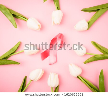 Stok fotoğraf: Breast Cancer Awareness Pink Tulip Flower Top View