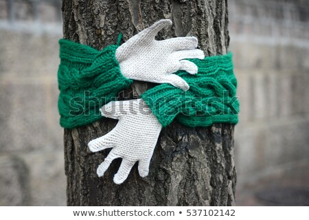 Stock photo: Trunk Of Felled Tree