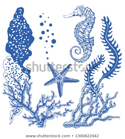 Stock photo: Tropical Sea Symbols Set On The White