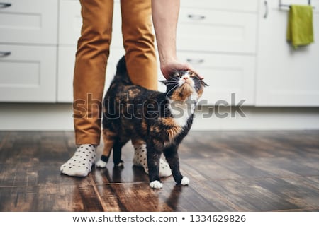 [[stock_photo]]: Caressing Leg