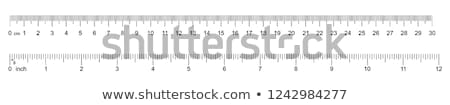 Stock photo: Millimeter Inch Ruler Set