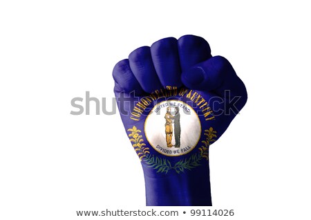 Foto stock: Fist Painted In Colors Of Us State Of Kentucky Flag