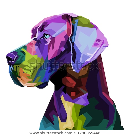 Foto stock: Great Dane