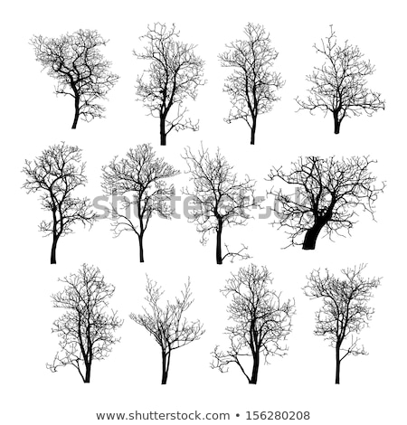 Background With Tree Branches Eps 10 [[stock_photo]] © Ohmega1982