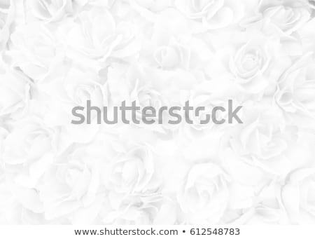 Stok fotoğraf: Floral Vintage Sepia Background With Vintage Roses