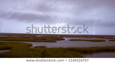 Foto stock: Electrical Storm Approaches Lightning Strikes Galveston Texas We