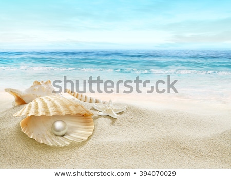 Foto stock: Pearl In The Shell On The Beach