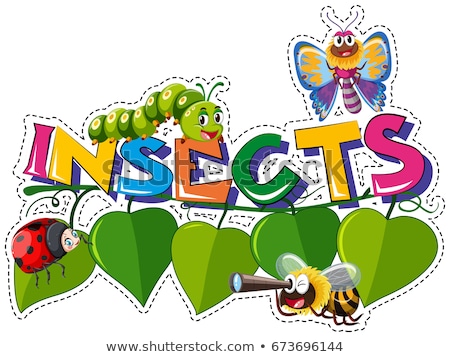 Foto d'archivio: Wordcard For Insects With Insects In Garden