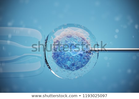 Stok fotoğraf: Sperm And Egg Cell Microscopic View 3d Rendering