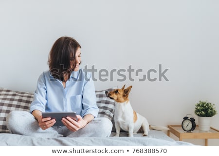 Stockfoto: Beautiful Brunette Female In Pyjamas Sits On Bed In Bedroom With Her Jack Russell Terrier Dog Holds
