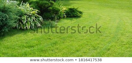 Foto stock: Manicured Yard