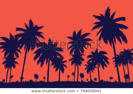 Stock fotó: Palm Tree Silhouette On Sunset Sky Background