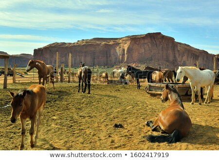 Foto stock: The Butte Is A Giant Sandstone Formation In The Monument Valley