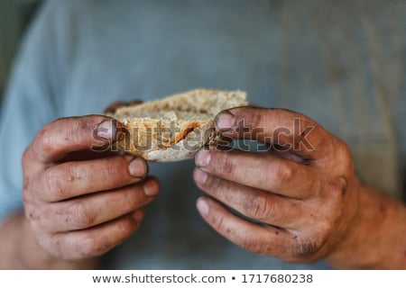 Сток-фото: Daily Bread