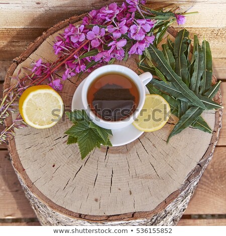 Сток-фото: Willow Tea Ivan Tea