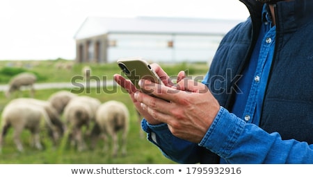 Foto stock: Rabajador · agrícola · con · rebaño · de · ovejas