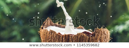 Zdjęcia stock: Coconut Fruit And Milk Splash Inside It On A Background Of A Palm Tree Banner Long Format