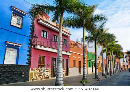 Stok fotoğraf: Puerto De La Cruz Tenerife