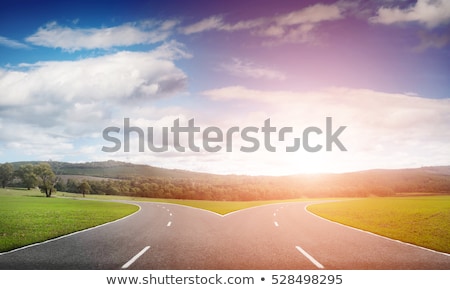 Zdjęcia stock: Fork In The Road