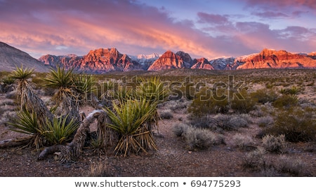 Foto stock: Red Rock Canyon Las Vegas Nevada Usa